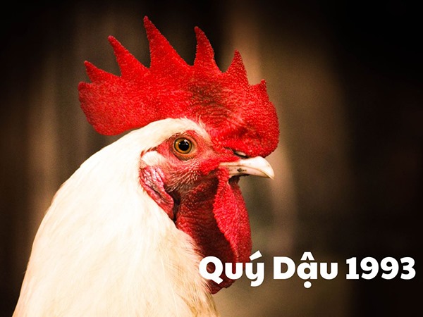 Tỏa sáng rực rỡ với số đón vận tuổi Quý Dậu 11/4/2025