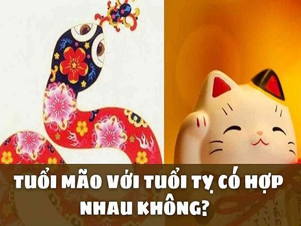 Tuổi Mão có hợp với tuổi Tỵ không trong tình yêu hôn nhân