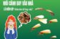 Giải mã điềm báo mối bay vào nhà là điềm gì?