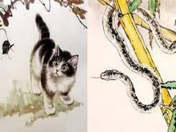 Tổng quan về tuổi Mão và tuổi Tỵ